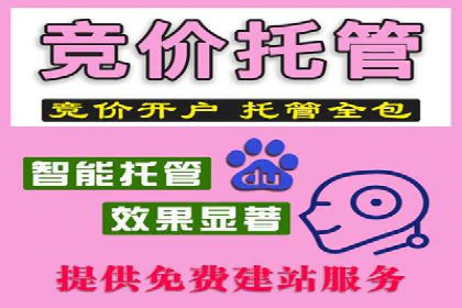 百度竞价托管公司案例：揭秘广告投放成功秘诀